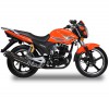  Wels Gold Sport 200cc - -.  . (343) 382-49-68