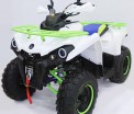  MOWGLI  ATV 200 NEW proven quality - -.  . (343) 382-49-68