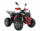  Wels ATV THUNDER EVO 125  s-dostavka  - -.  . (343) 382-49-68