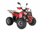  Wels ATV THUNDER EVO 125  s-dostavka  - -.  . (343) 382-49-68