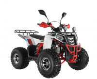 Квадроцикл Wels ATV THUNDER EVO 125 Х s-dostavka Белый - квадроцикл-купить.рф  тел. (343) 382-49-68