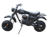  Мотовездеход двухколесный КУНИЦА 200 CVT, модель выпуска 2013 года  - квадроцикл-купить.рф  тел. (343) 382-49-68
