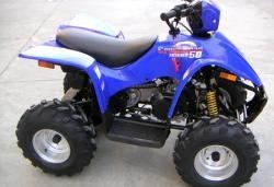 Квадроцикл 50сс POLAR FOX  ATV50 детский  - квадроцикл-купить.рф  тел. (343) 382-49-68