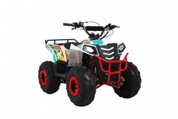  Wels  THUNDER EVO.M 110cc  s-dostavka - -.  . (343) 382-49-68