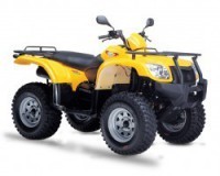  Stels ATV 500 GT   500  - -.  . (343) 382-49-68