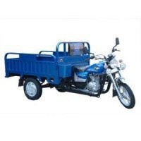  Orion Tricycle 200   200 - -.  . (343) 382-49-68